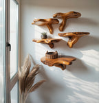 Handcrafted Rustic Mushroom Floating Shelf – Live Edge Wooden Wall Decor