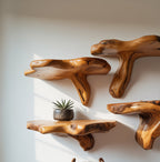Handcrafted Rustic Mushroom Floating Shelf – Live Edge Wooden Wall Decor