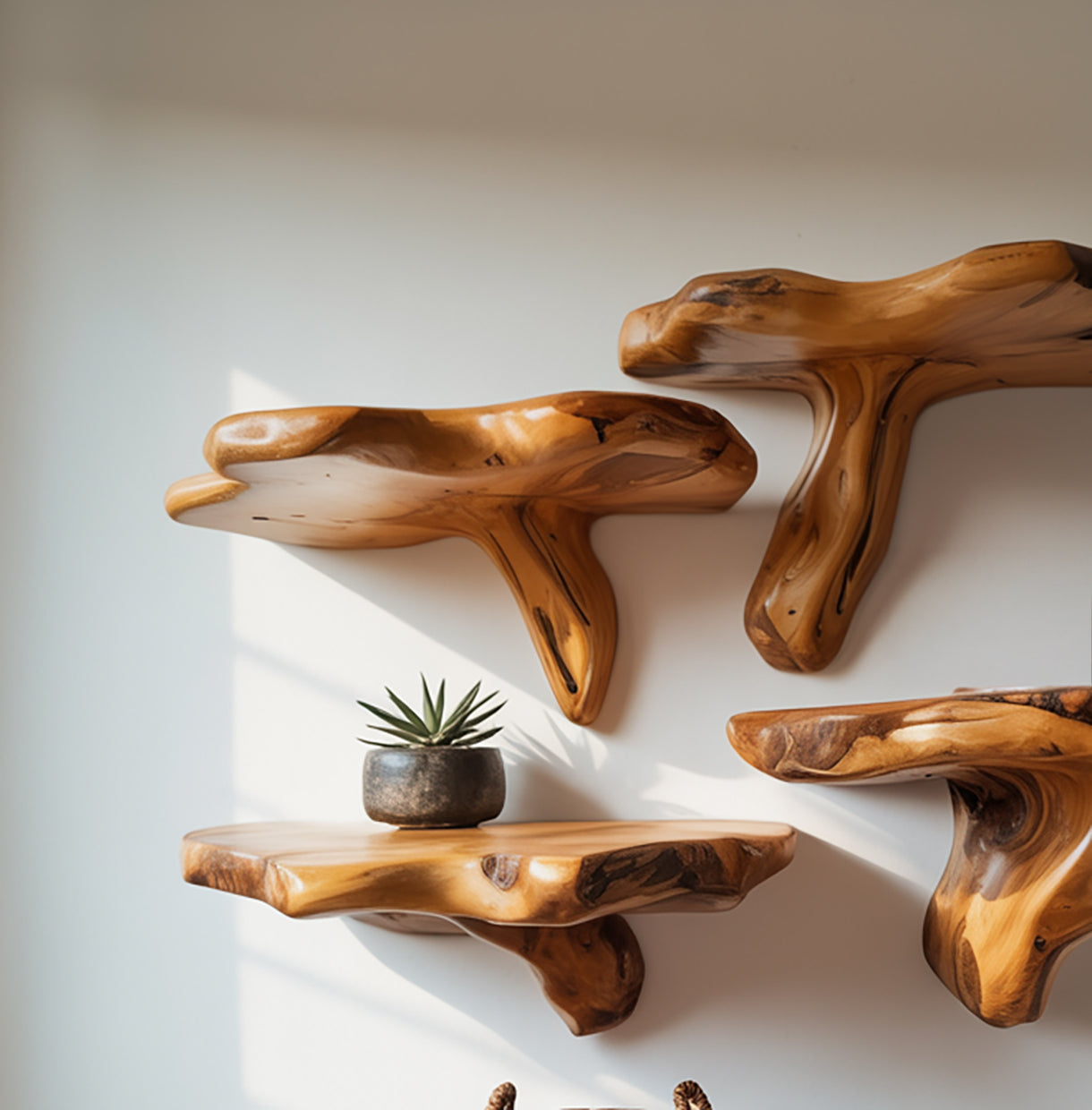 Handcrafted Rustic Mushroom Floating Shelf – Live Edge Wooden Wall Decor